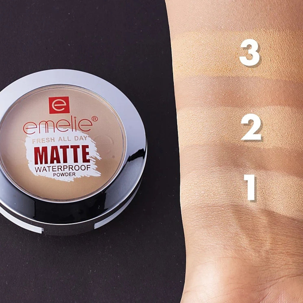 Emelie Fresh All Day Matte Waterproof Compact Powder Original Product in Pakistan swatches