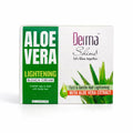 Derma Shine Aloe Vera Lightening Bleach Cream 60gm
