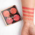 Emelie Professional Luminous Matte Blusher