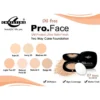 Christine Pro Face Two Way Cake compact with mirror and sponge