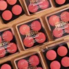 Emelie Professional Luminous Matte Blusher